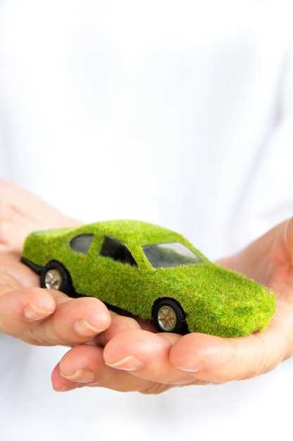 Choosing Eco-Friendly Fuel Options