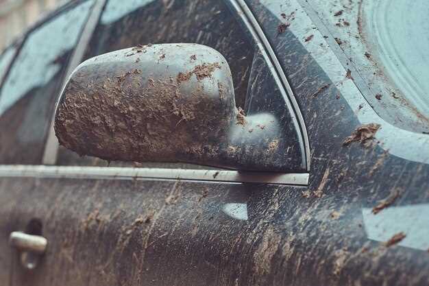 Long-Term Tips for Preventing Damage from Sap and Droppings